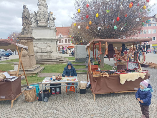 Podpora sociálního začleňování na území MAS Vyškovsko, z.s.