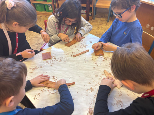 Workshop MAS Vyškovsko (28.11. 2024)