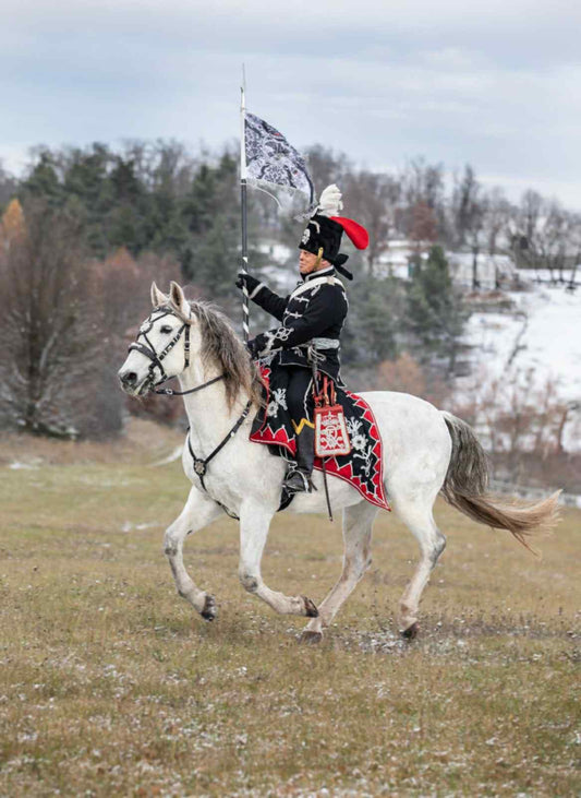 Königgrätz 1866 (2025, muzeum)